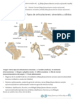 Apuntes de Anatomía. Tipos de Articulaciones - Sinoviales y Sólidas