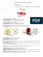 Caracteres Taxonomicos