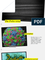 The Polio Virus