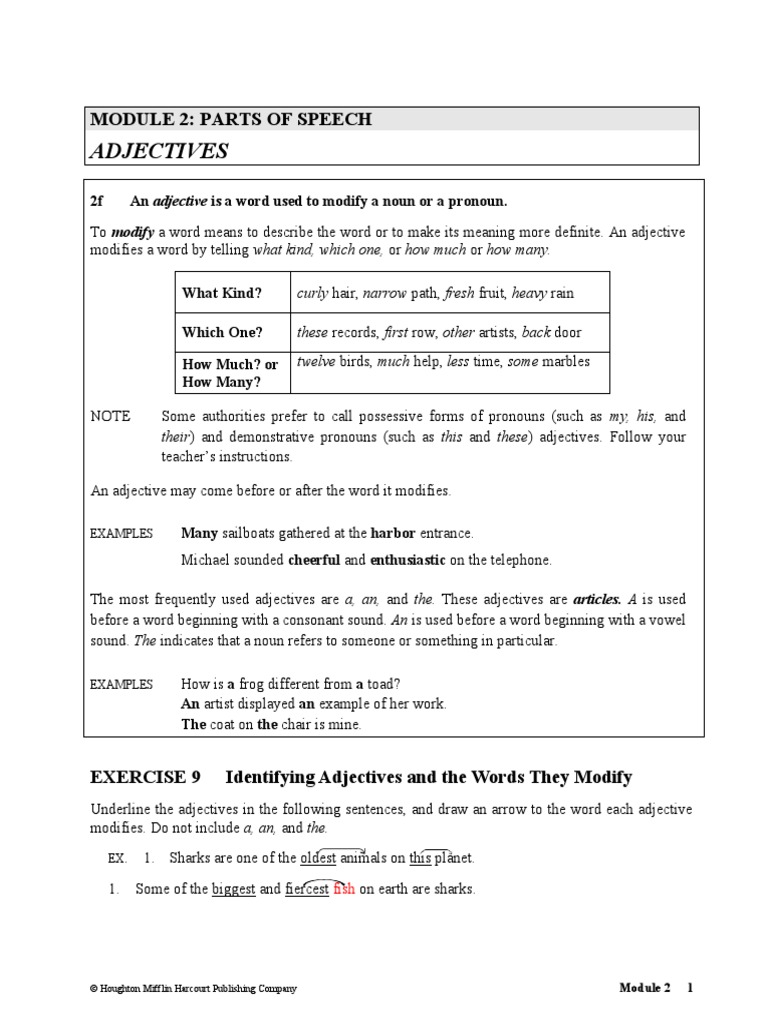Adjectives Answer Key PDF Adjective Noun