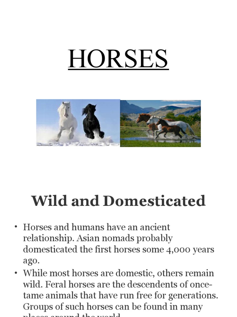 Horses | PDF