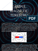 Campul magnetic terestru