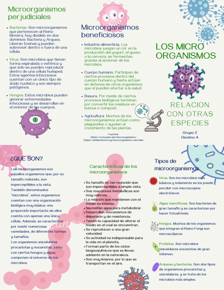 Microorganismos: Tipos y Funciones | PDF | Microorganismo | Las bacterias
