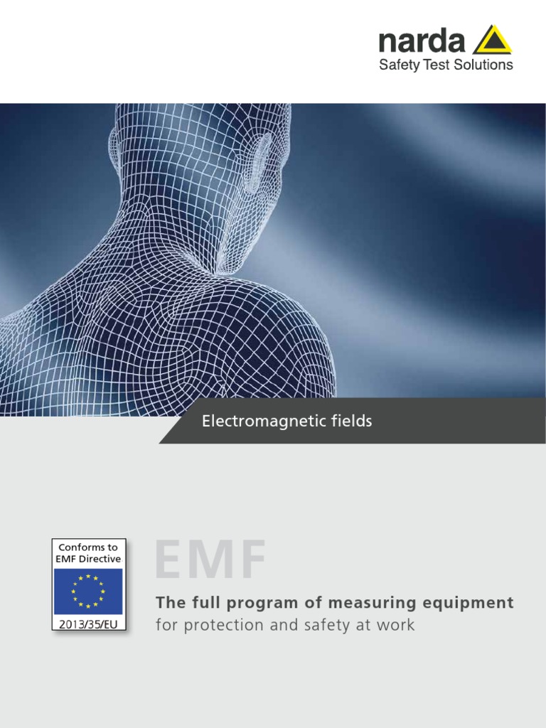 Electromagnetic Fields: The Full Program of Measuring Equipment | PDF ...