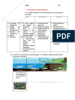 Actividades de Cierre Semana 10 1