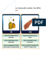 Physical States: Fats and Oils Are Chemically Similar, But Differ in
