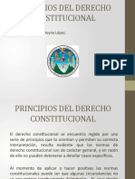 3 Principios Del Derecho Constitucional 2019