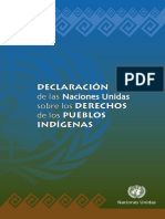 Articulos Declaración Derechos de Los Pueblos Indigenas