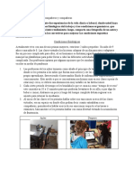 Condiciones fisiológicas y ergonómicas que afectan el rendimiento laboral y académico desde casa