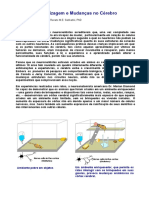 Aprendizagem e Mudanças No Cérebro