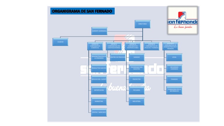 Organigrama de San Fernando | PDF