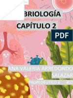 Capítulo 2 Embriología