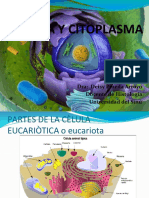 Célula y Citoplasma: Estructura y Funciones