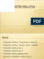 diabetes-mellitus-para-exponer-1227982937743556-9