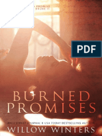 Burned Promises - Willow Winters
