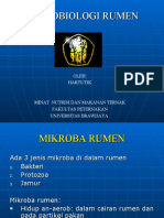 2.1 MIKROBA RUMEN