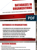 Databases in Organisations