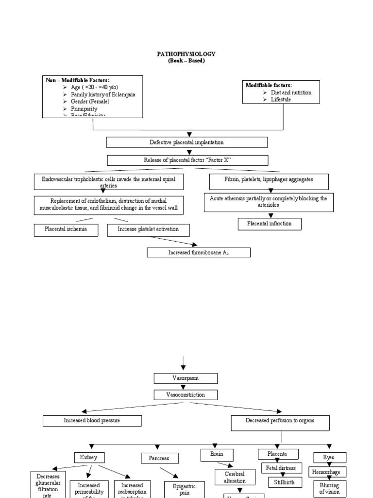 Pathophysiology Eclampsia | PDF | Medical Specialties | Clinical Medicine