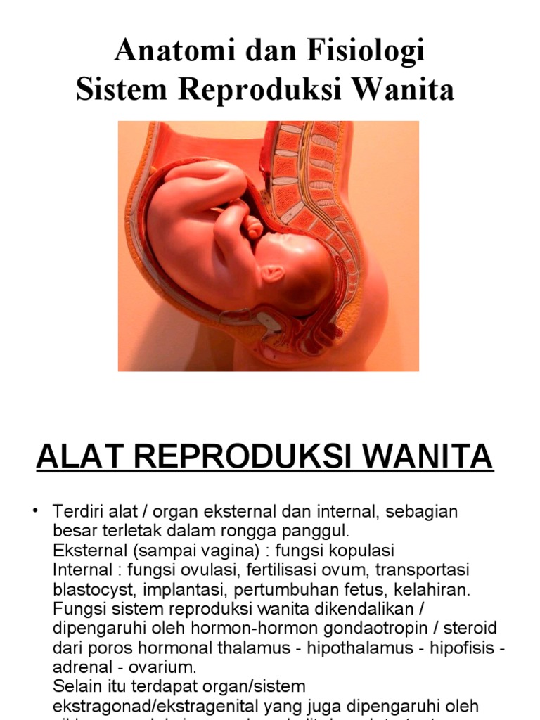 Anatomi Fisiologi Hidung