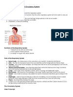 Respiratory and Circulatory
