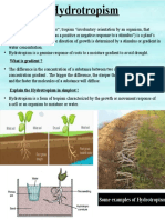 What Is Hydrotropism?