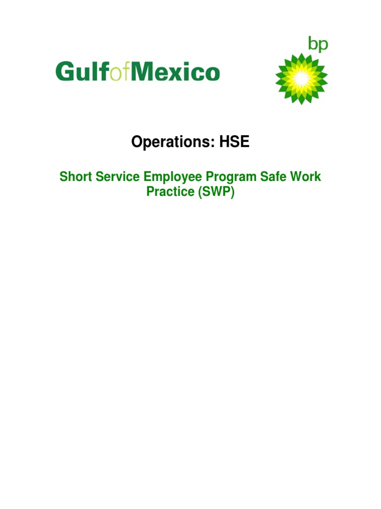 Short Service Employee Program Overview | PDF | Mentorship | Risk ...