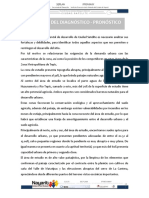 P.P.D.U._C.S._DOC 3 SINTESIS DEL DIAGNOSTICO PRONOSTICO