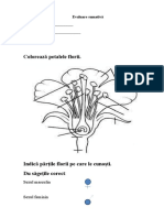 Evaluare Biologie Valeria