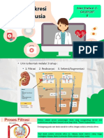 Fisiologi Sistem Urinaria