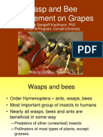 Wasp and Bee Management in Grapes - PA Wine Grape Network
