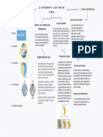 Mapas vectoriales y ráster: los principales tipos de mapas