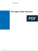 Agile Audit Function