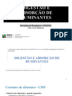 Digestão e Absorção de Ruminantes