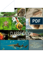 Classification Slides New