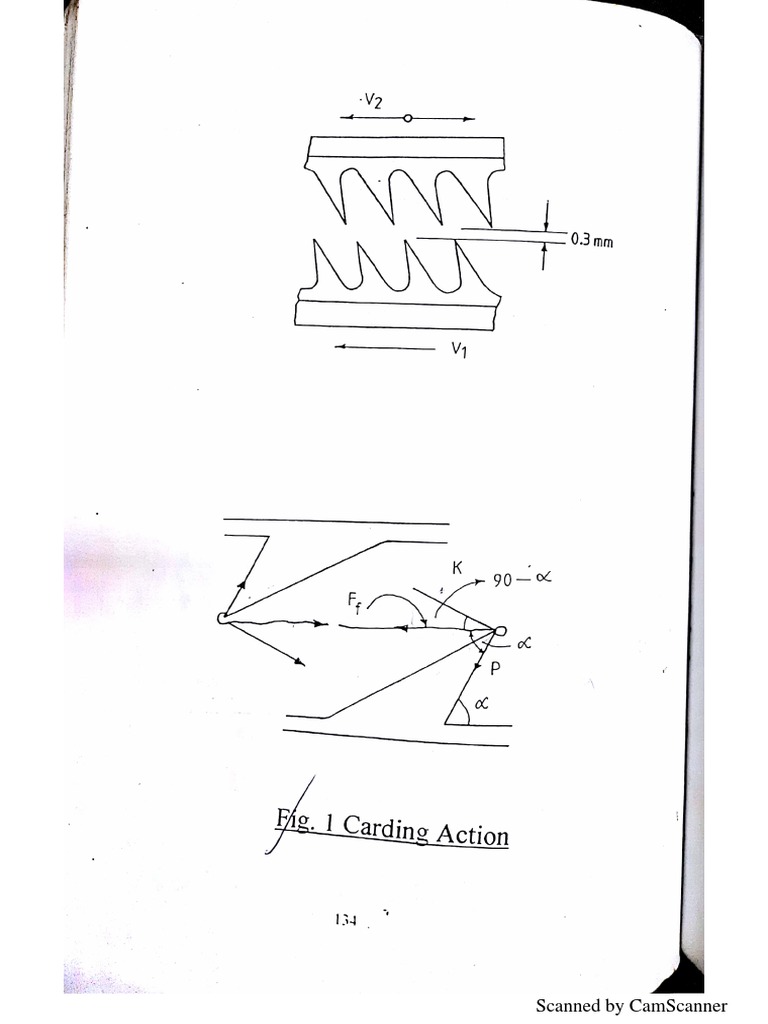 Carding and Stripping Actions PDF