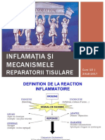 Curs 10 - Fiziopatologie I - 2016-2017