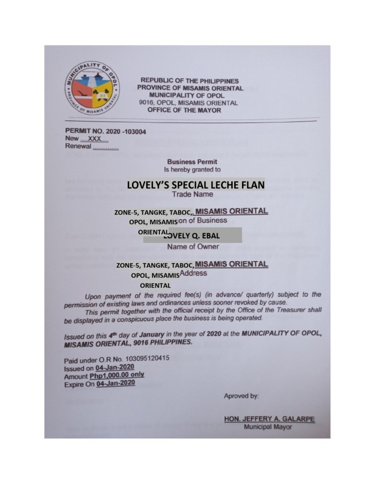 WHAT ARE THE REQUIREMENTS OF BUSINESS PERMIT visual data 6