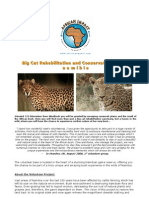 African Impact Brochure NAM BIGC CON