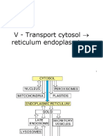 Cours-Medecine_info-Compartiments-intracellulaires-tri-proteines-Reticulum_Endoplasmique