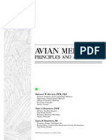 Avian Medicine_ Princilpes and Application