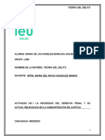 La Necesidad Del Derecho Penal y Su Actual Relevancia en La Administración de Justicia