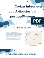 Coriza Infecciosa Por Avibacterium Paragallinarum