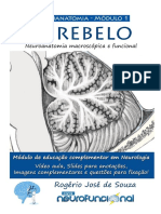 Apostila 1 - Neuroanatomia Do Cerebelo - Neurofuncional