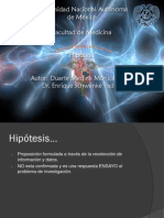 Hipotesis_2