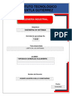 Act1.2.2-Limite de Los Sistemas-Aag-Ing - Sis