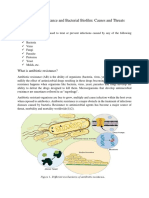 Antibiotic Resistance and Bacterial Biofilm