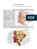 Neuroanatomia #6a Parte 2