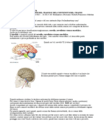 Neuroanatomia #4a Parte 1