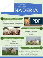 Infografia Ganado