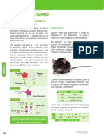 4 - Genetica - Polialelia.